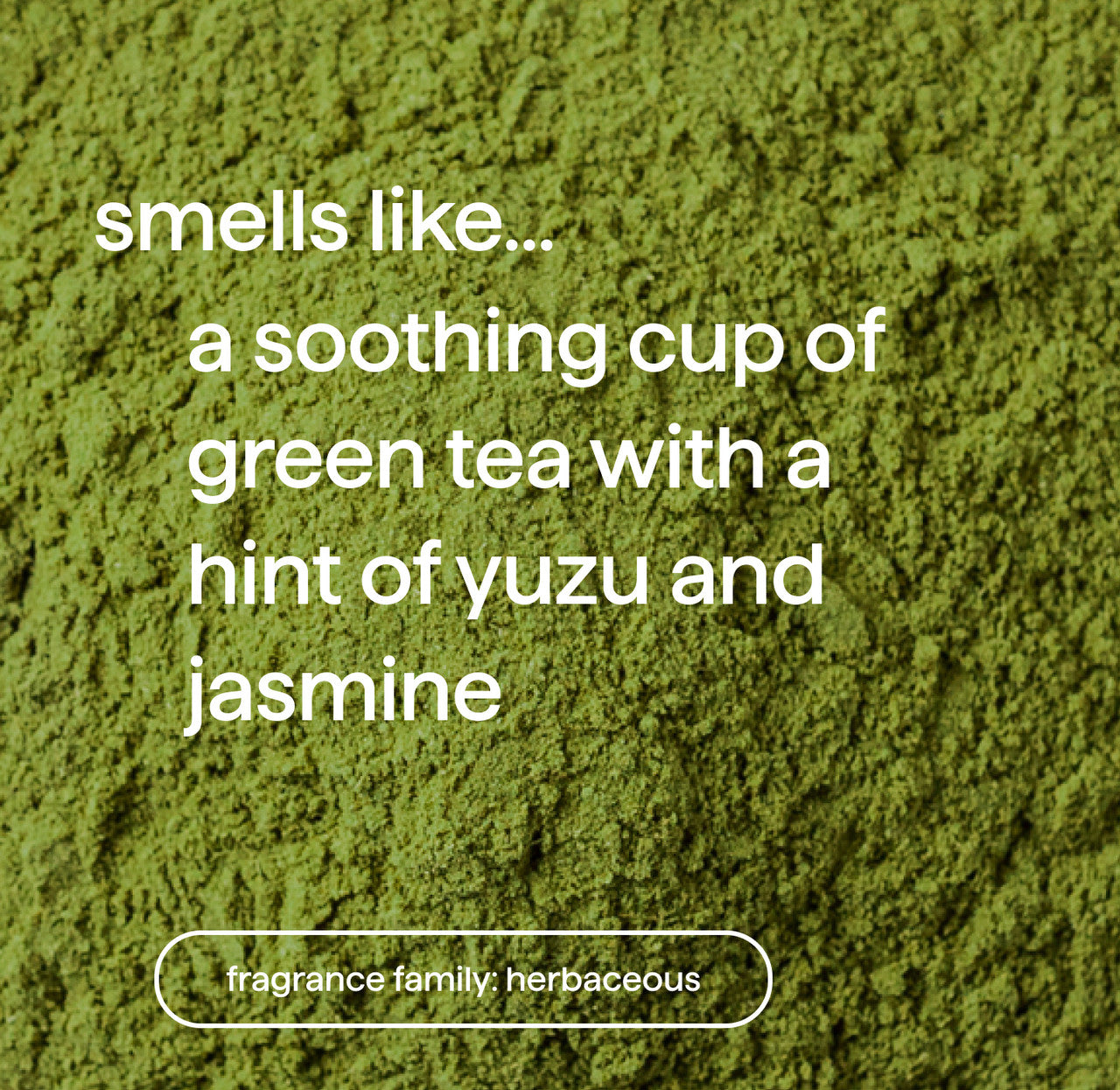 vibrant color shampoo - mindful matcha, 14 fl oz