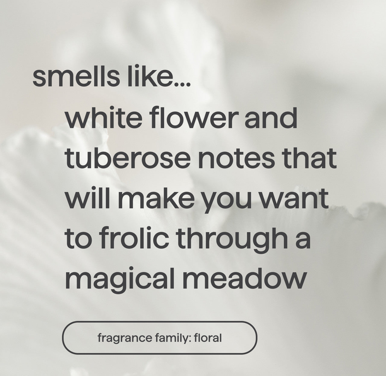 dream foam | foaming body wash - white flower + tuberose, 13.5 fl oz