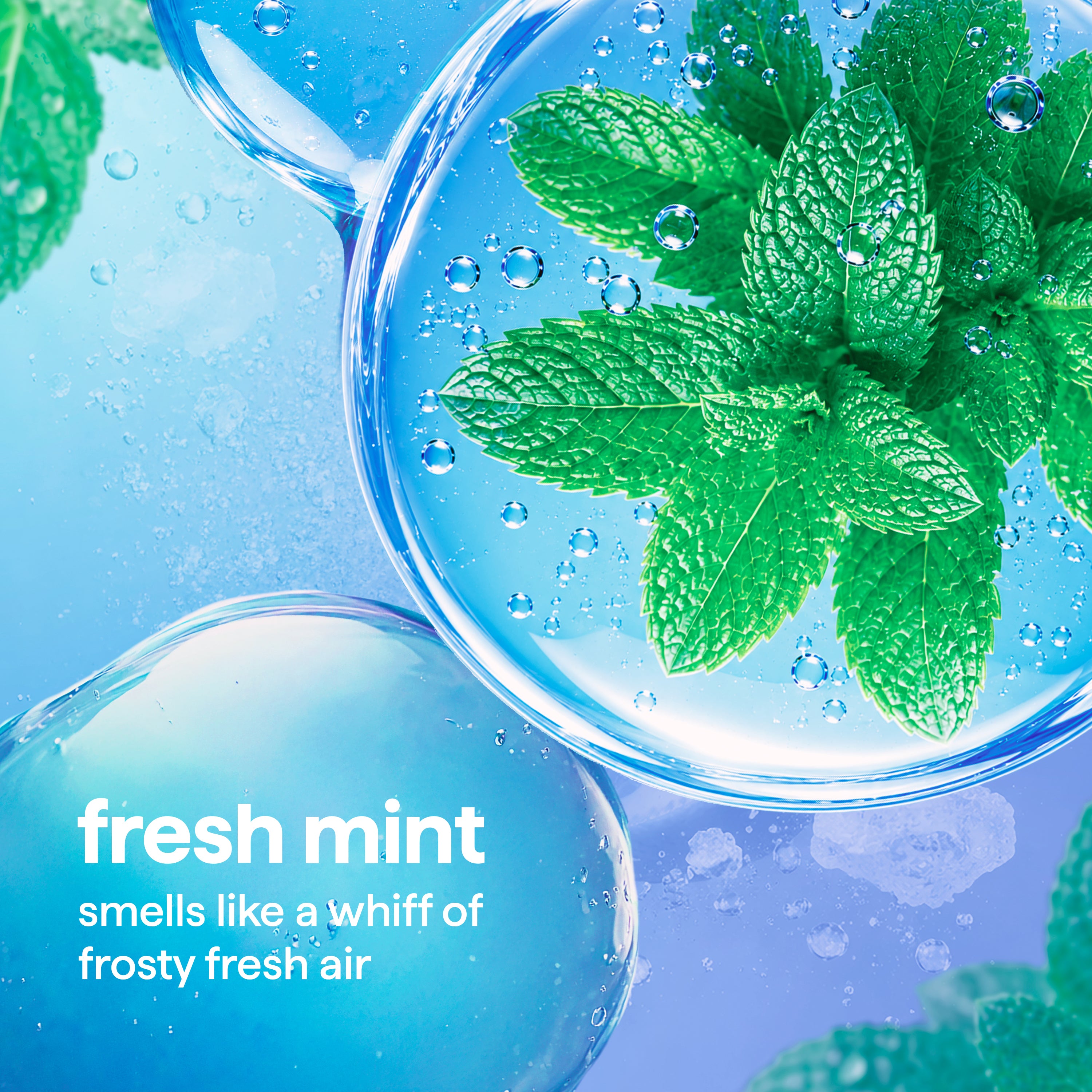 glass cleaner - mint, 28 fl oz