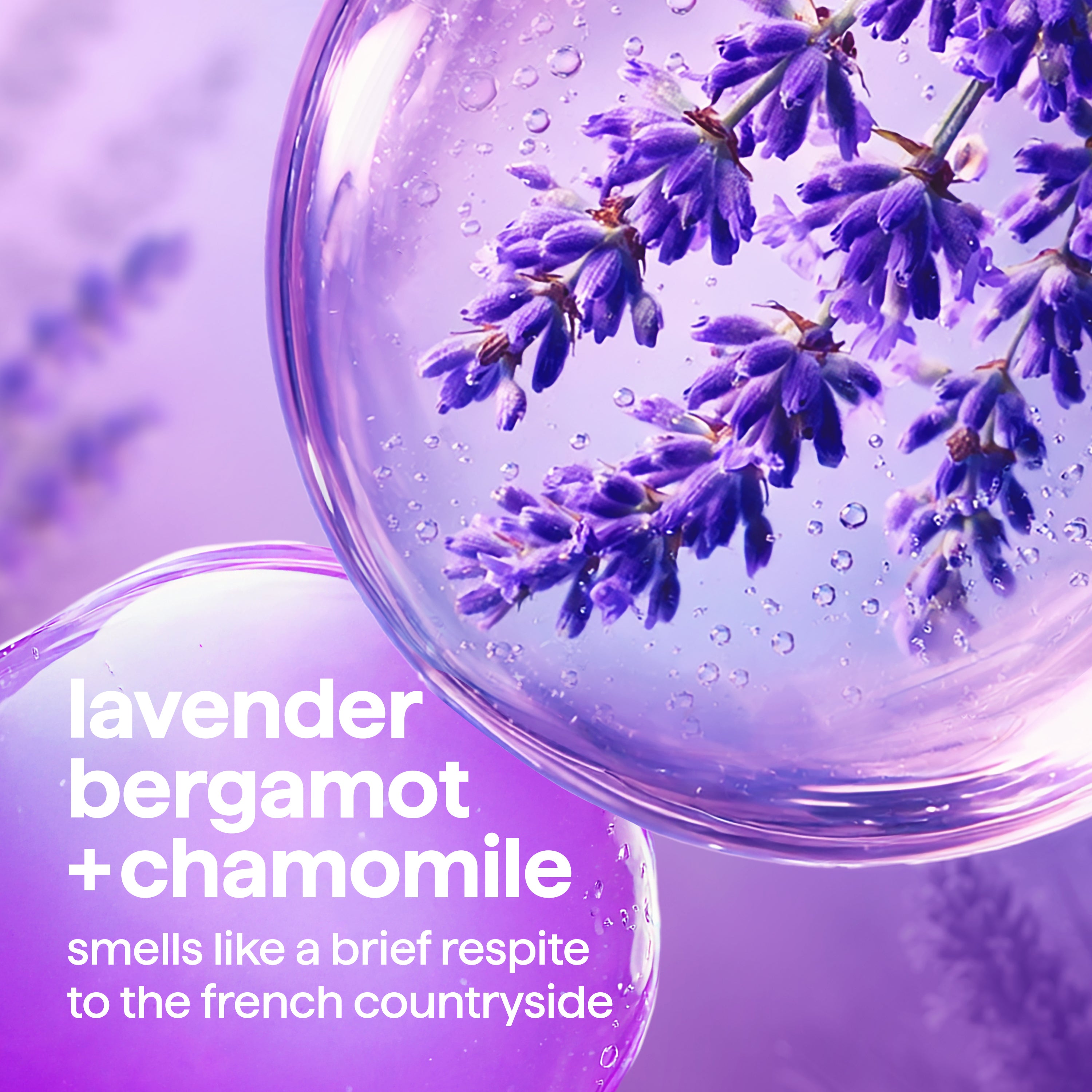 foaming hand wash - french lavender, 10 fl oz