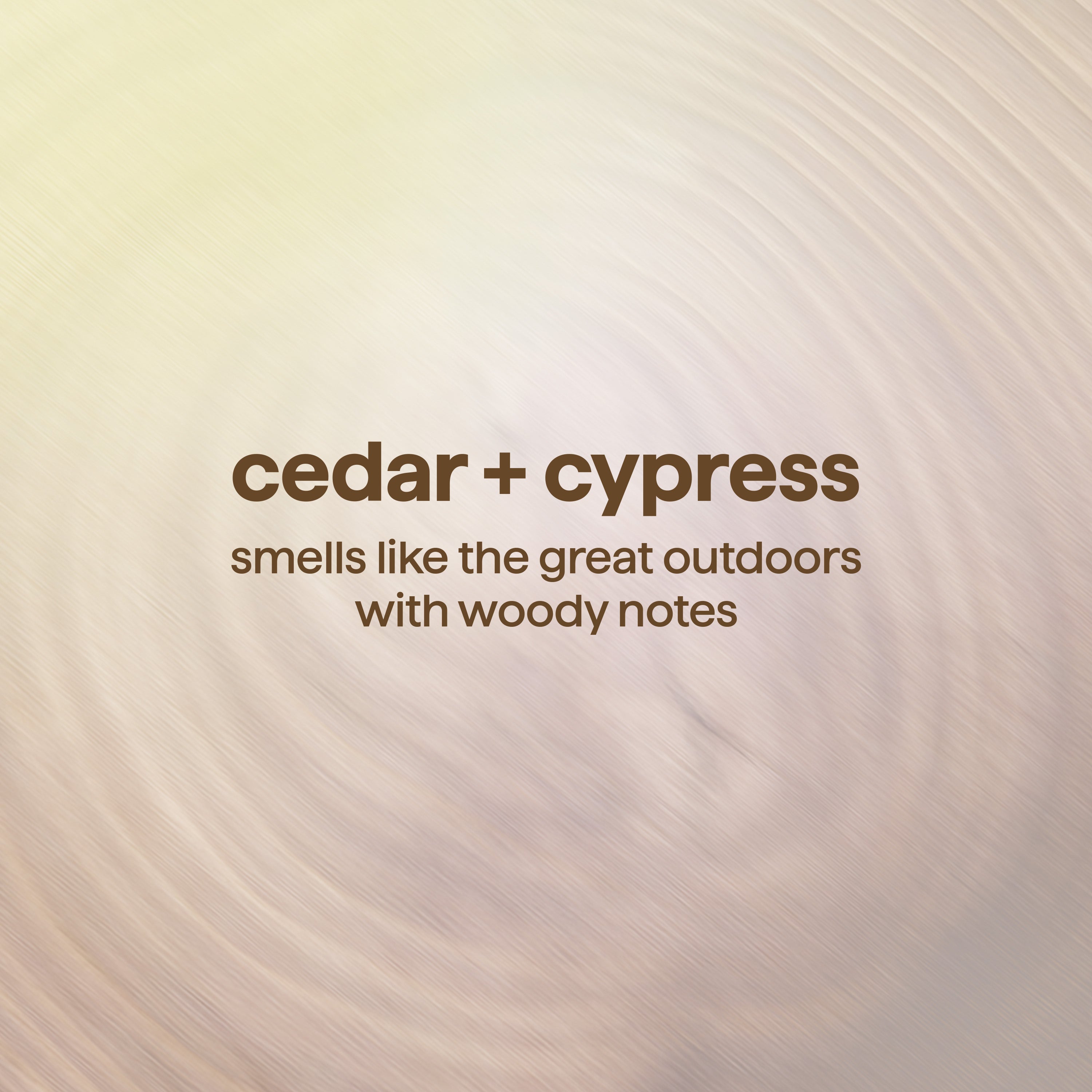 men's body wash - cedar + cypress, 18 fl oz