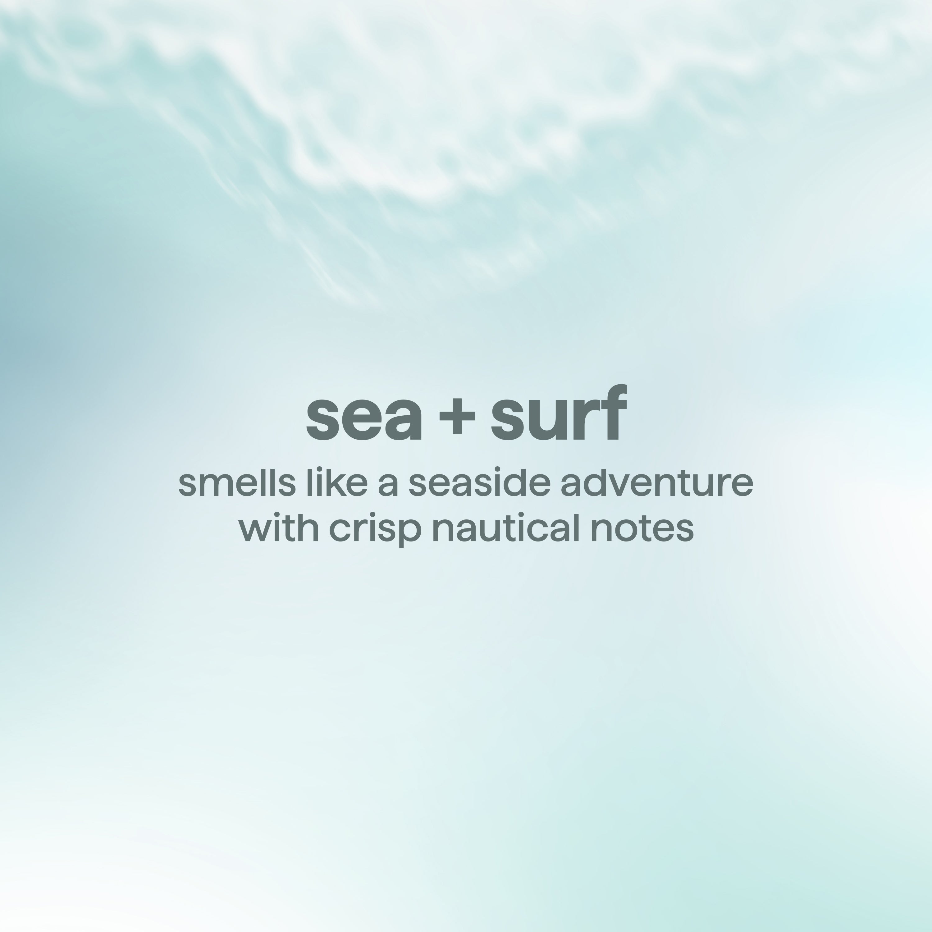 men's body wash - sea + surf, 18 fl oz