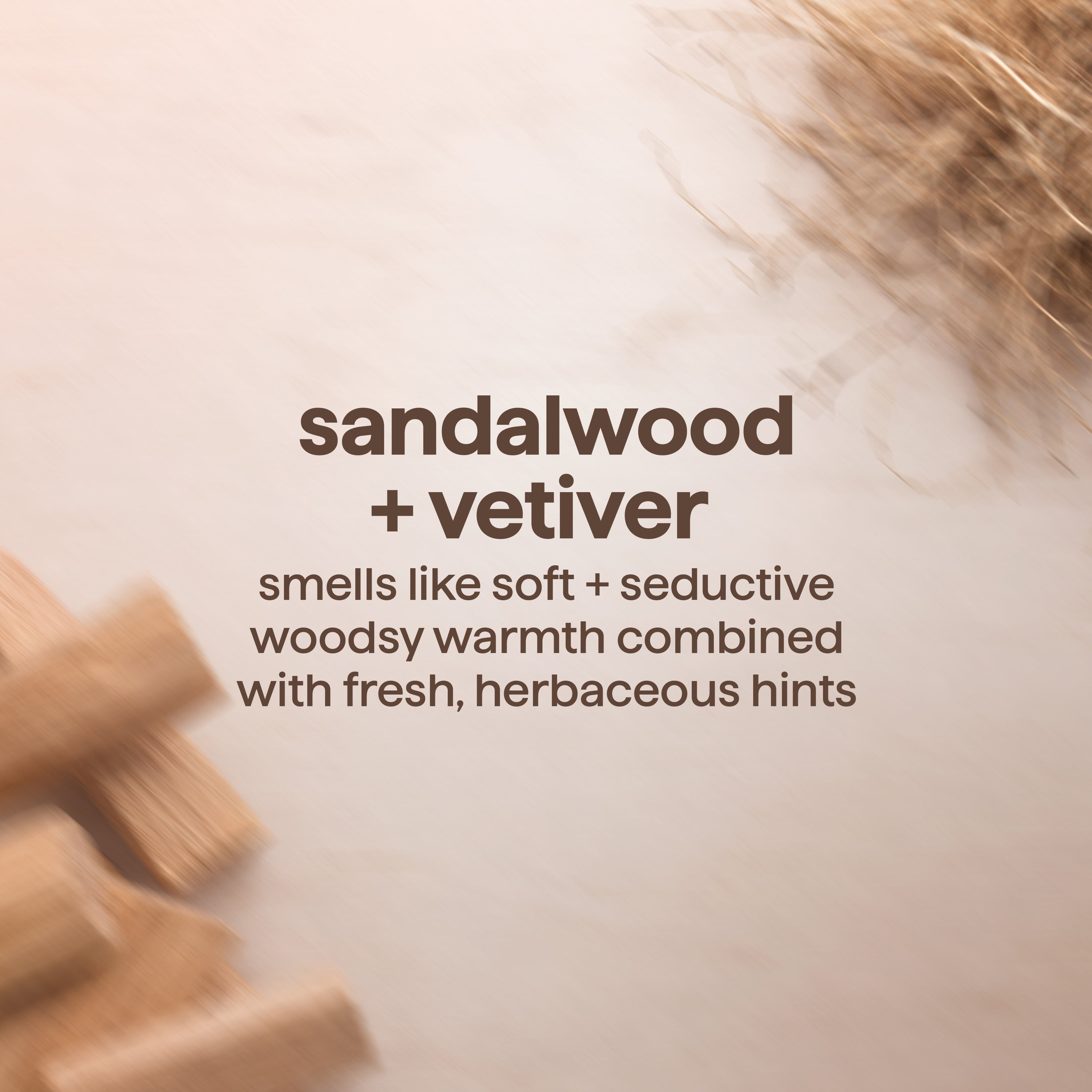 men's body wash - sandalwood + vetiver, 18 fl oz