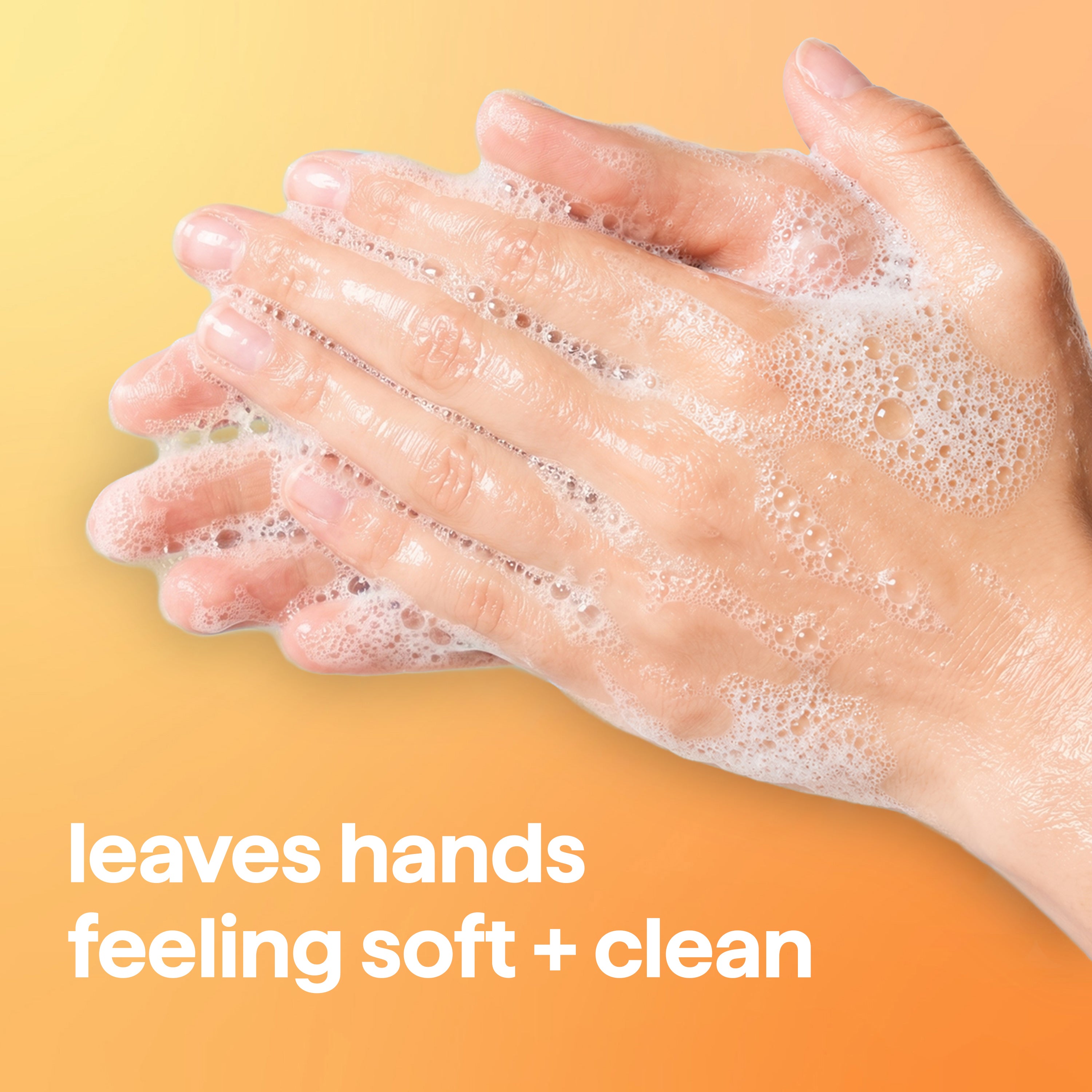 foaming hand wash - sandalwood + cedar, 10 fl oz