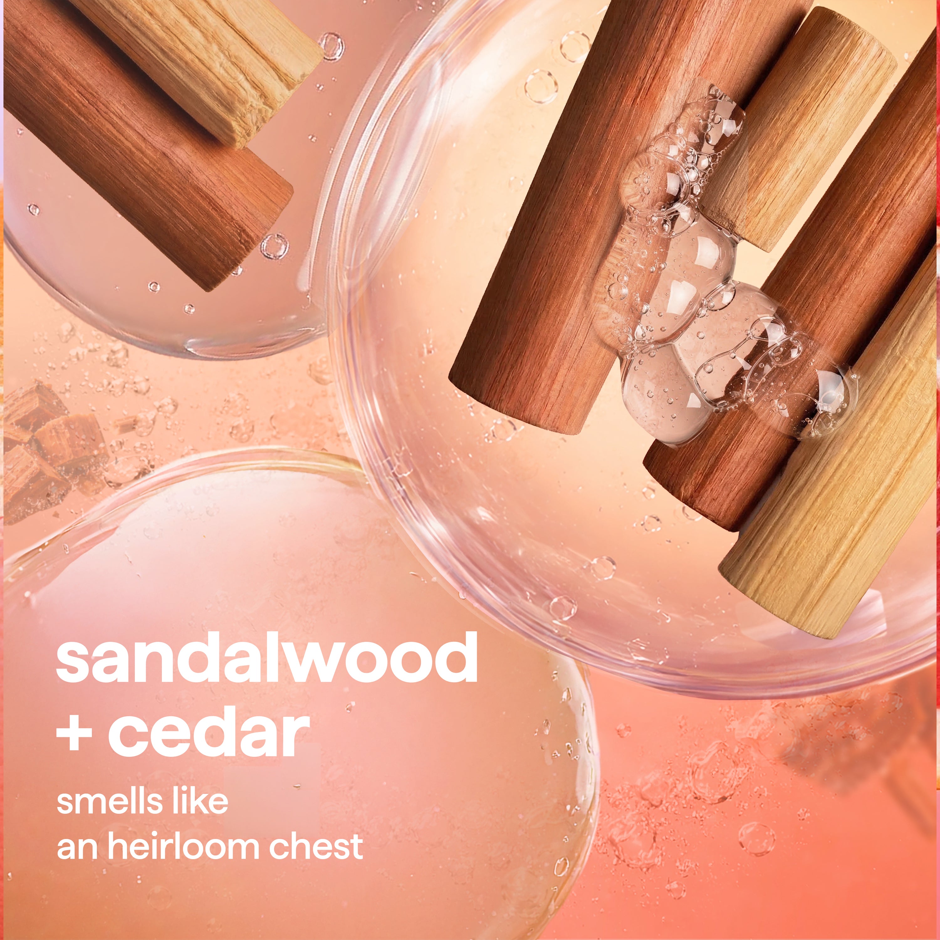 foaming hand wash - sandalwood + cedar, 10 fl oz