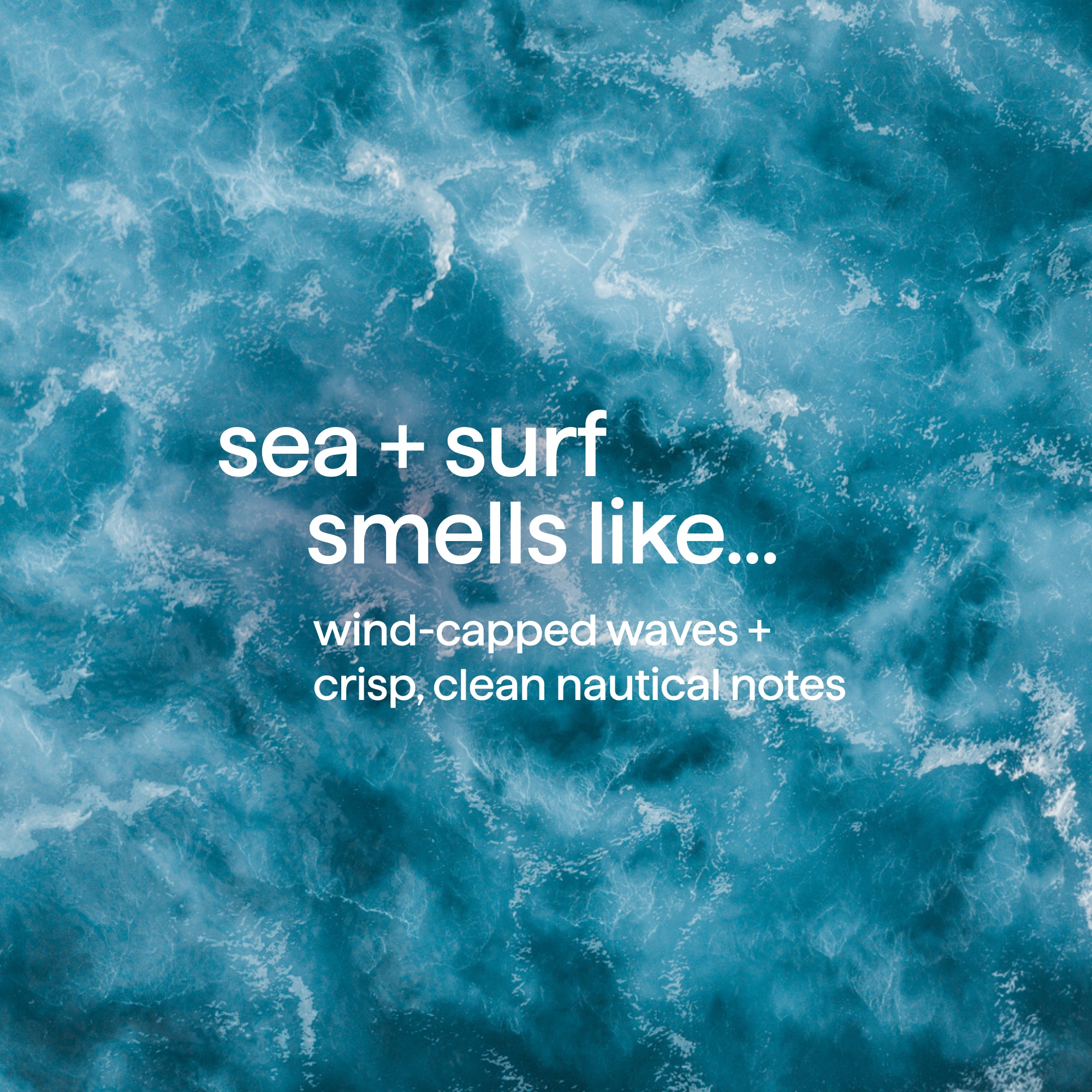 hydrating serum hand wash - sea + surf, 10 oz