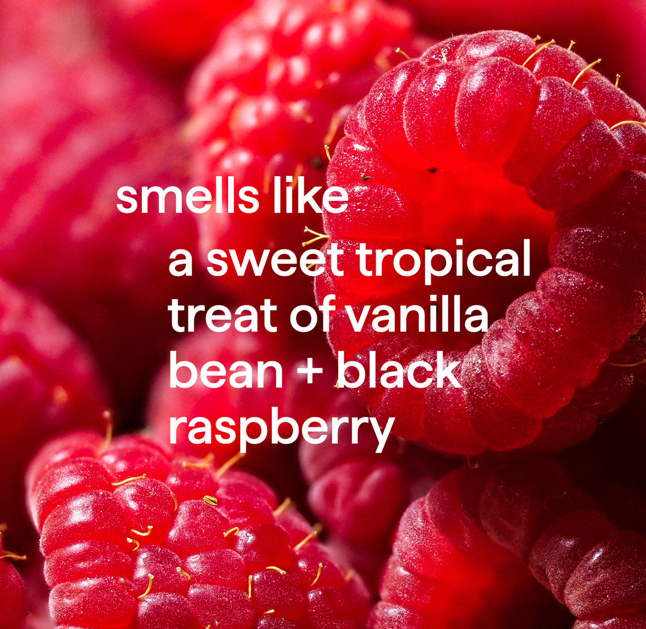 foaming hand wash - vanilla + raspberry, 10 fl oz