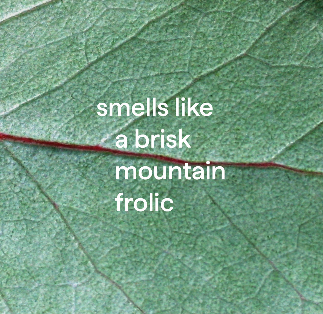 method | Foaming Tub + Tile Cleaner, Eucalyptus Mint, 28 oz – method ...