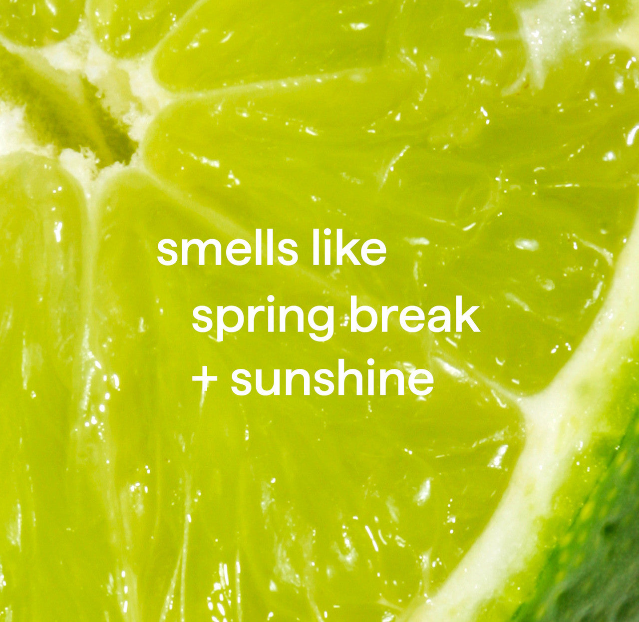 all-purpose cleaning wipes - lime + sea salt, 30 ct