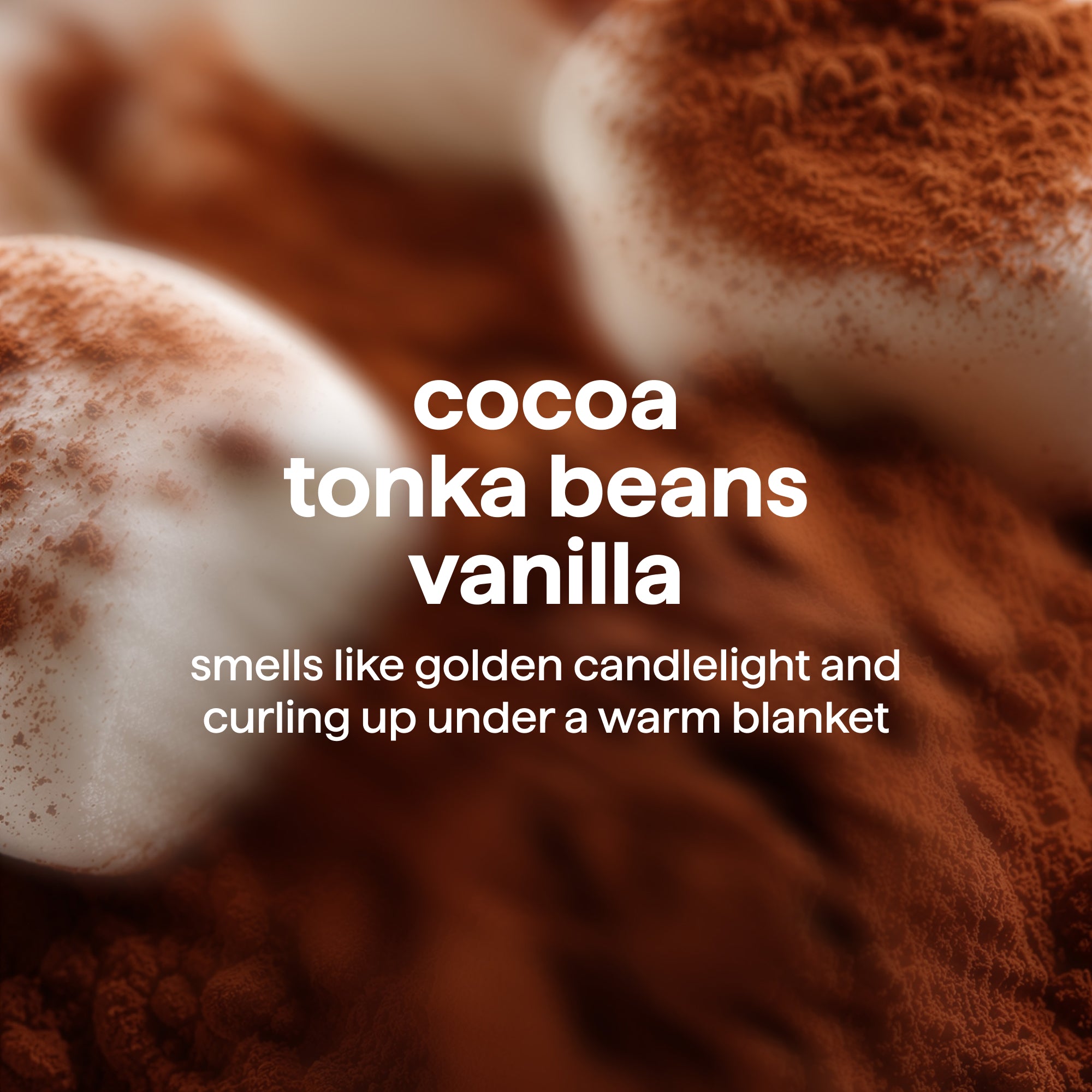 body wash - cozy cocoa 3.4 oz.