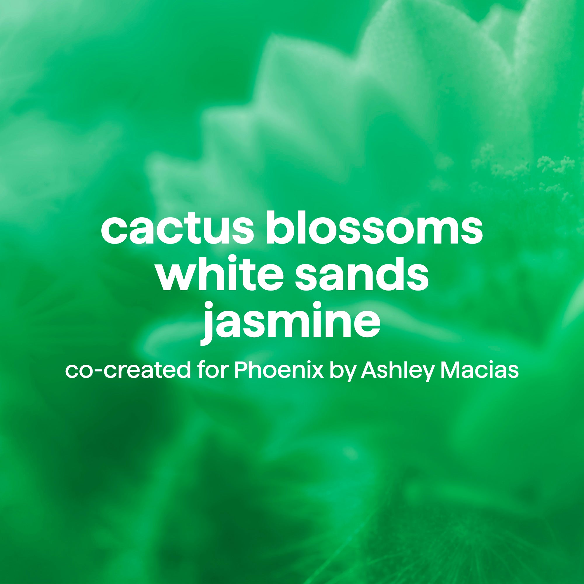 limited edition body wash, artist collection, phoenix