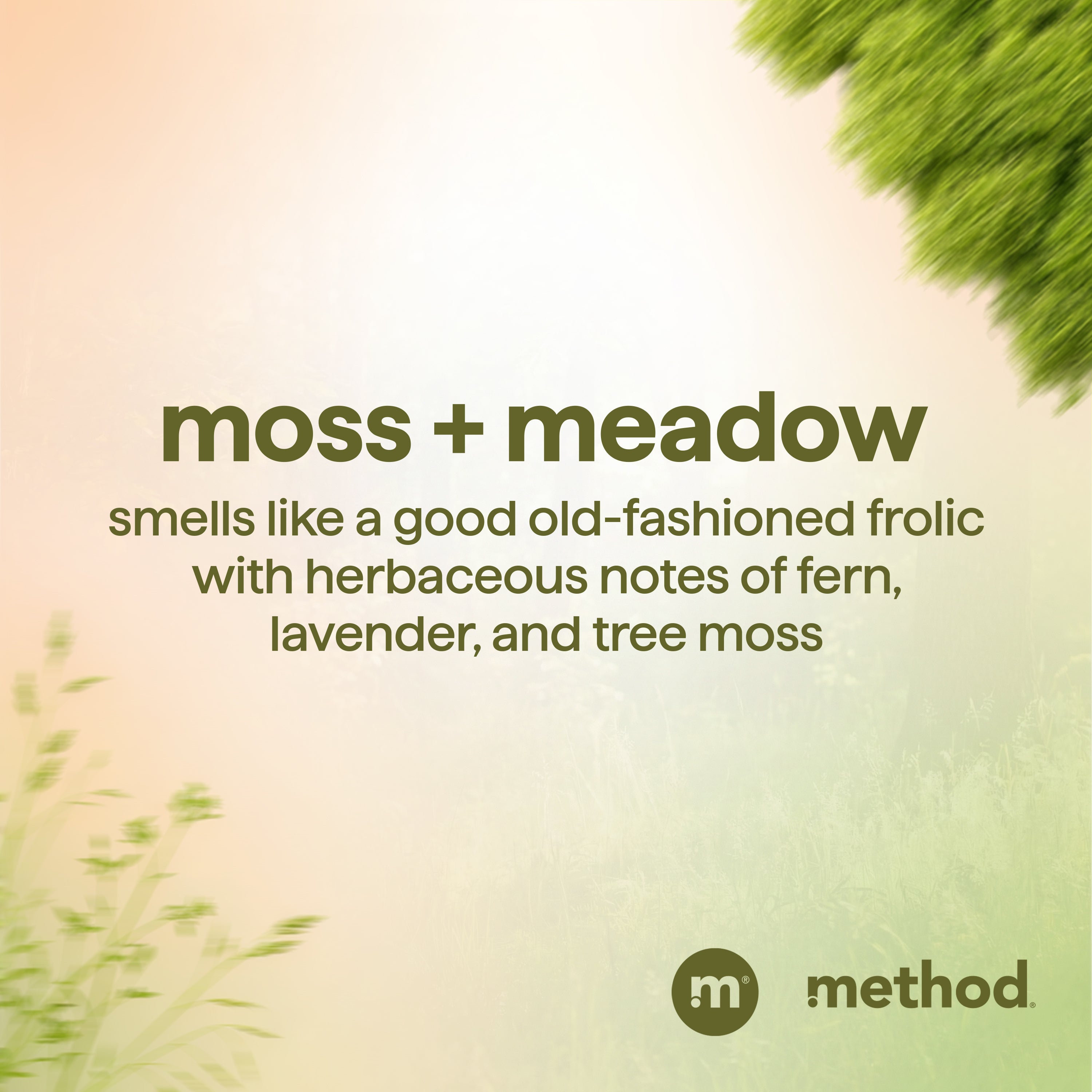 men 2-in-1 shampoo + conditioner - moss + meadow, 14 fl oz