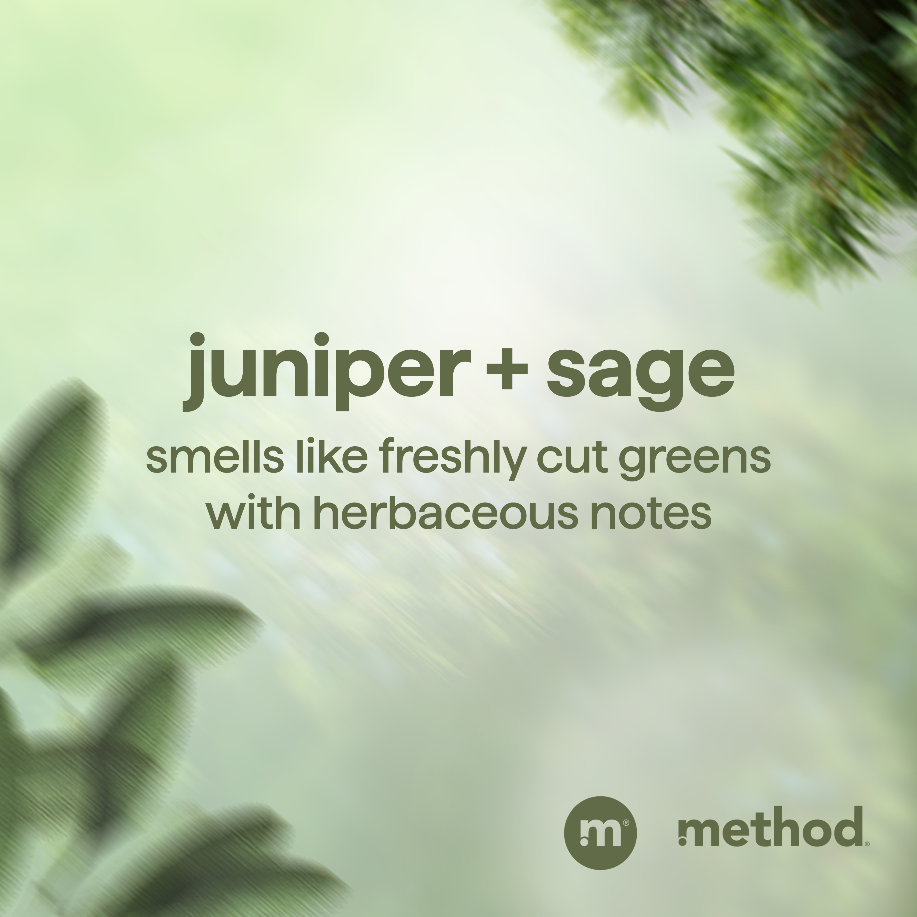 Men's Juniper + Sage 2-in-1 Shampoo & Conditioner | 14 oz | Method
