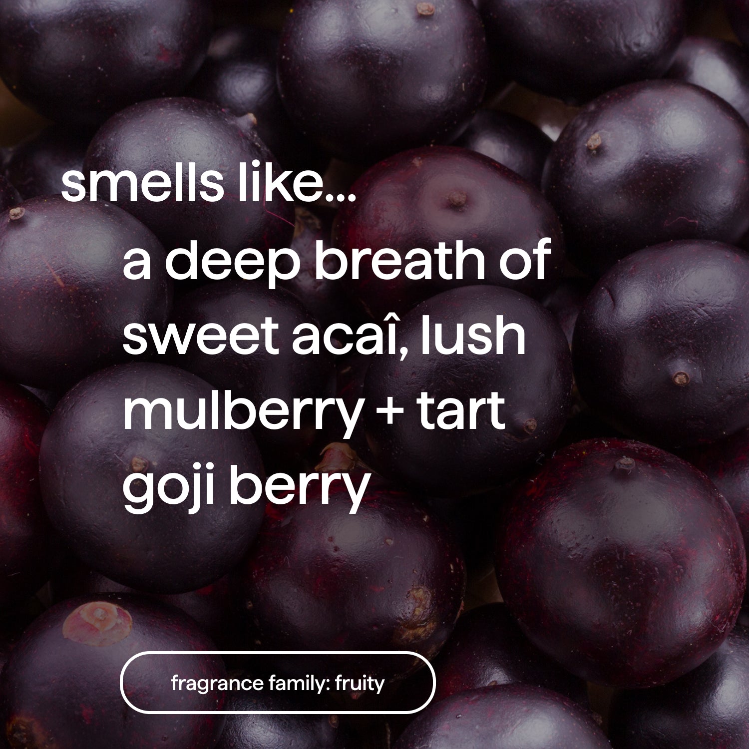 body wash - berry balance, 28 fl oz