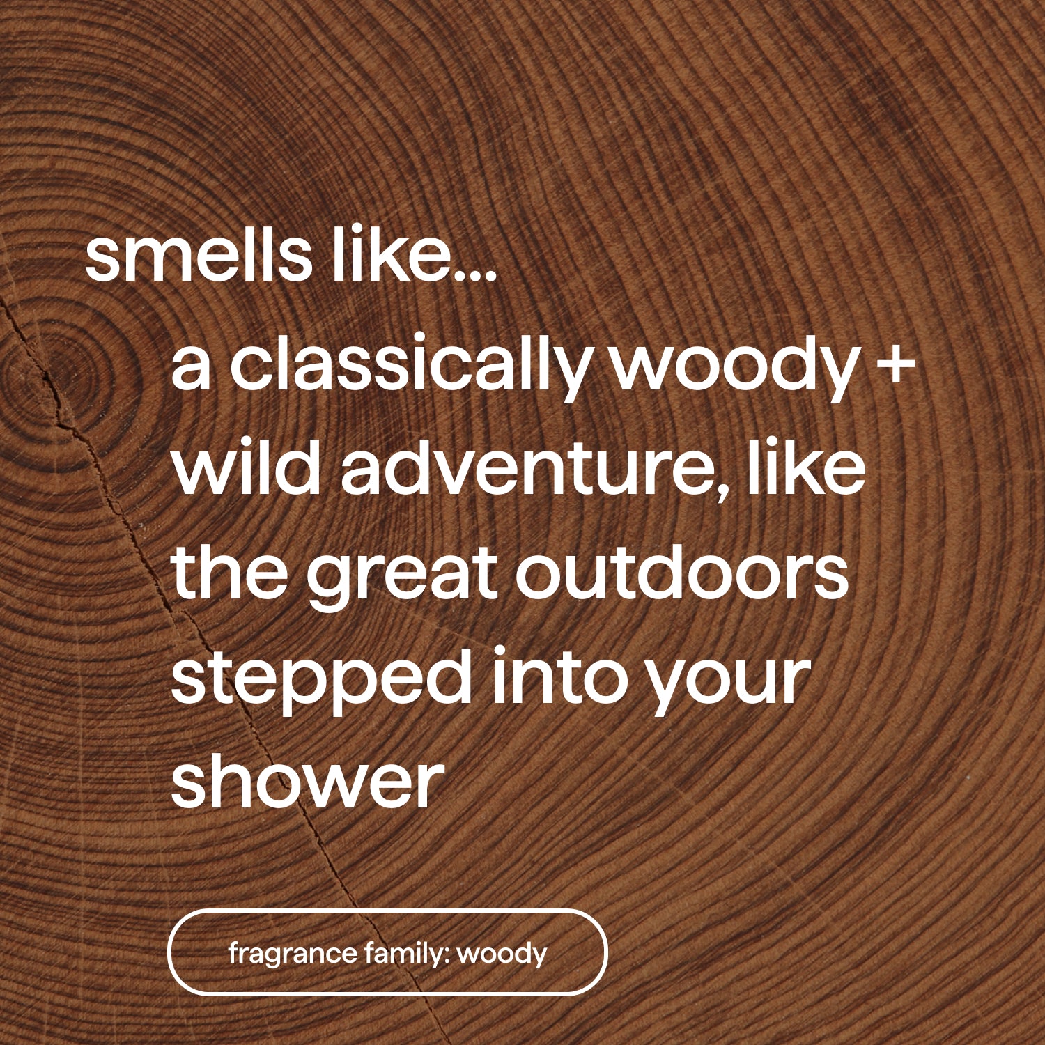 body wash - cedar + cypress, 28 fl oz