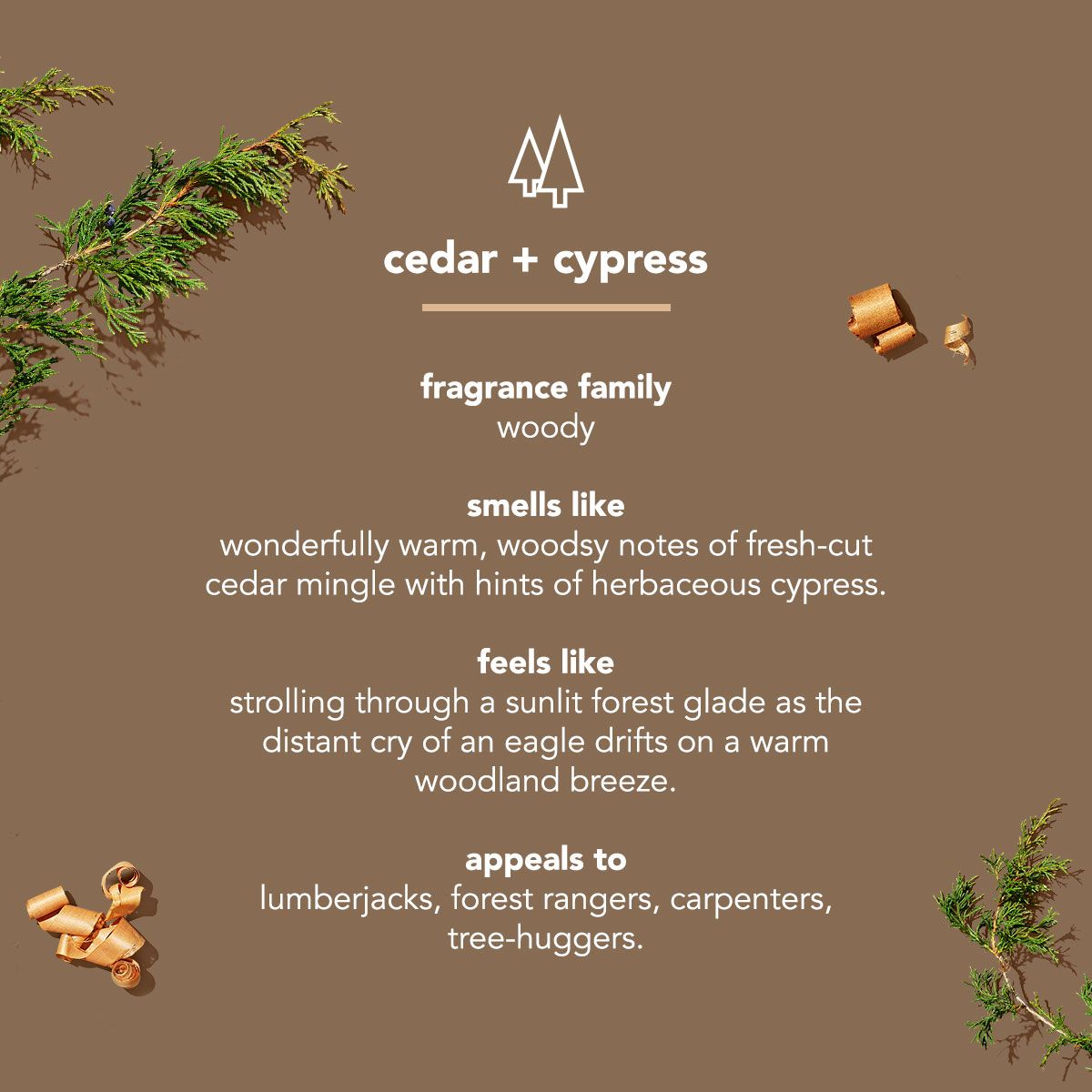 aluminum free deodorant - cedar + cypress, 2.65 oz