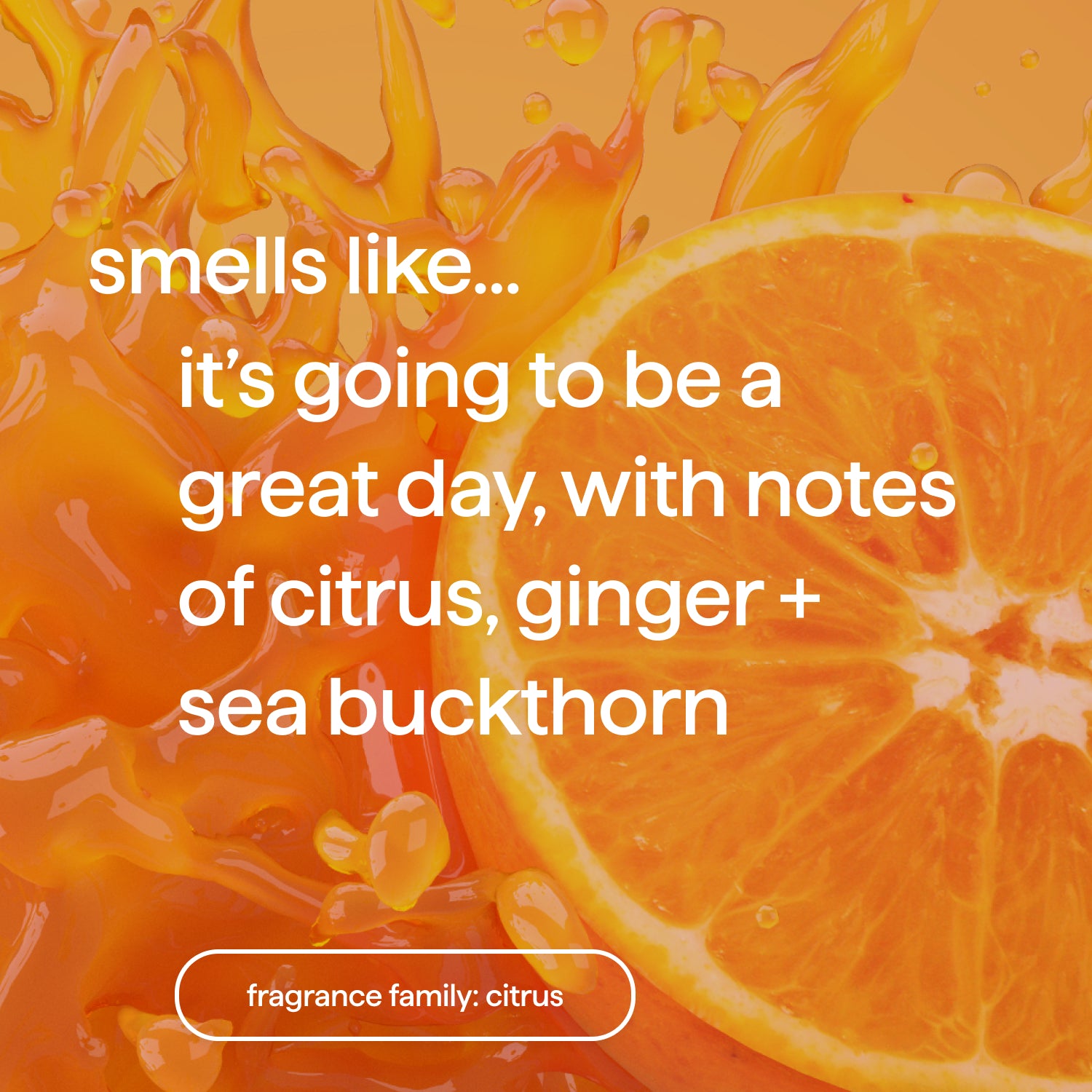 body wash - energy boost, 28 fl oz