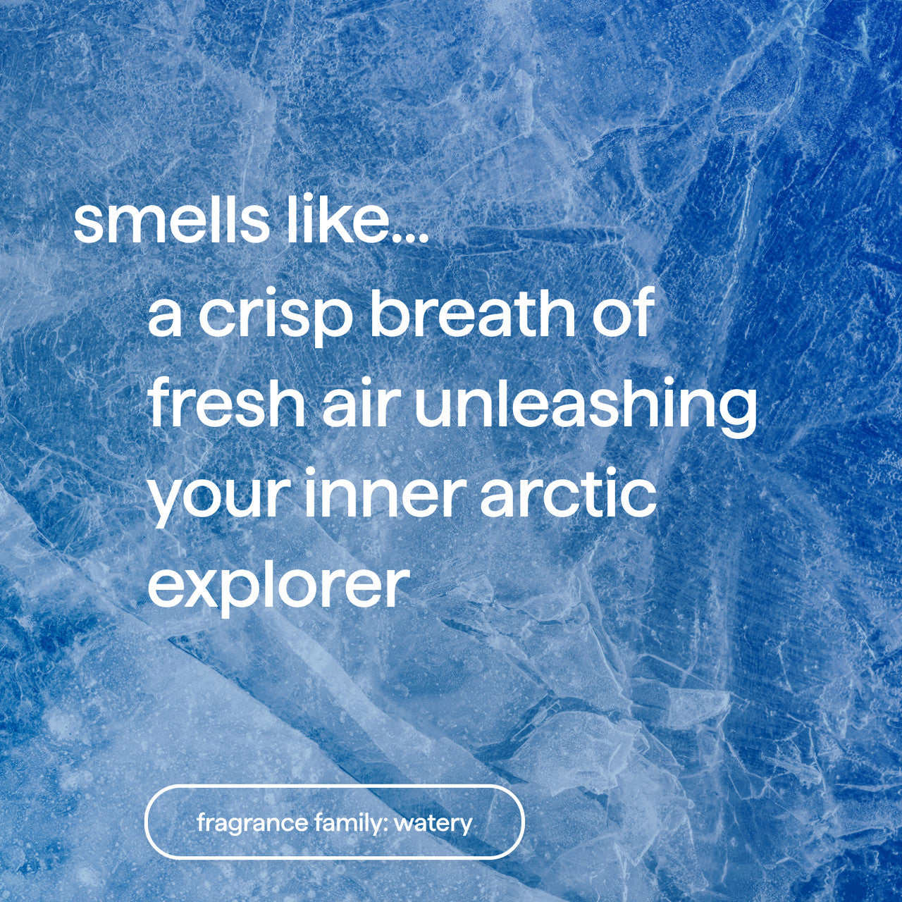 method men bar soap variety duo - 4 bars – method products