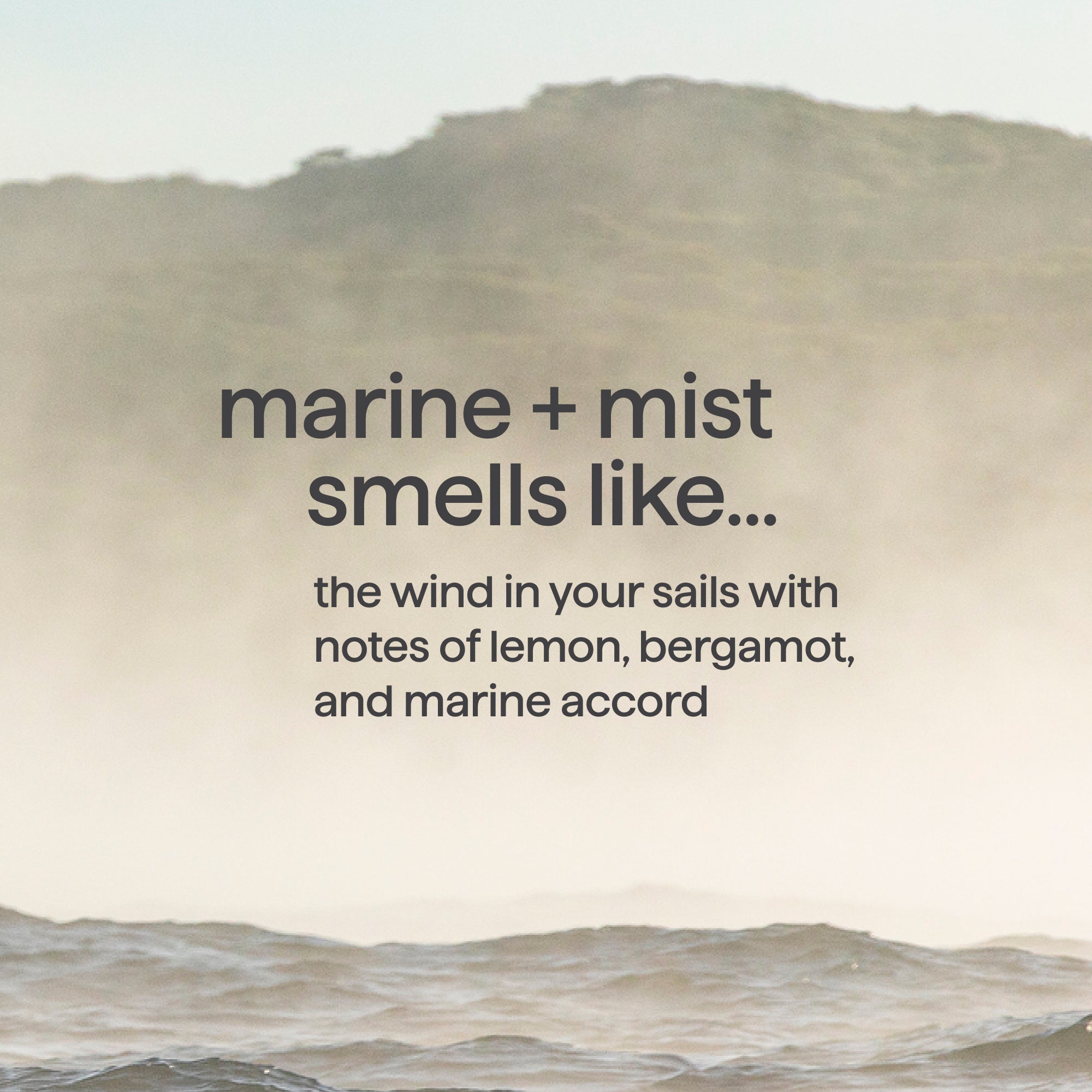 men 2-in-1 shampoo + conditioner - marine + mist, 14 fl oz