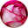 rose-water
