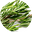 rosemary