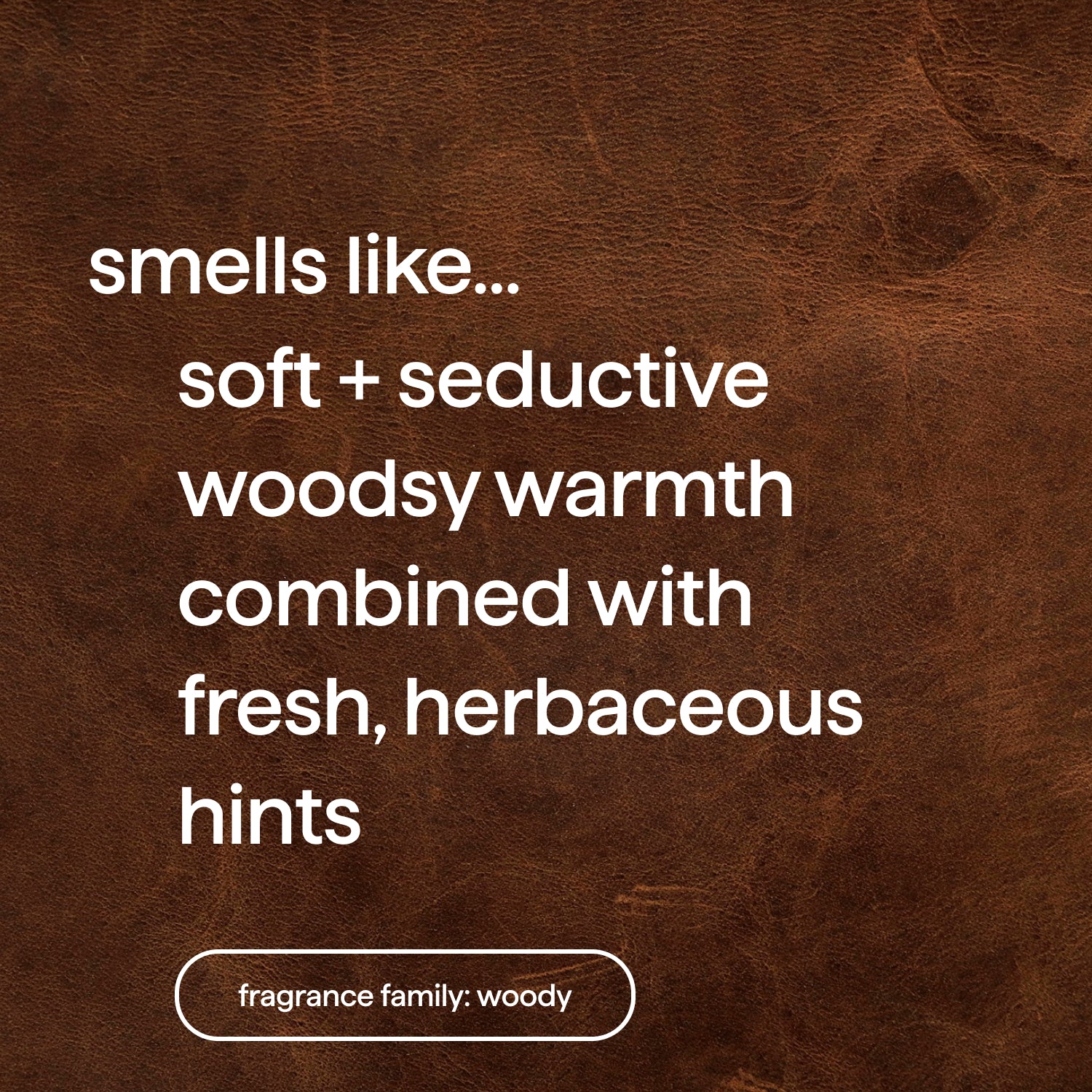 body wash - sandalwood + vetiver, 28 fl oz